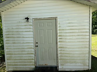 Outbuilding door and siding before washing, streaked green with algae